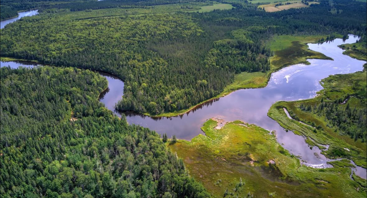 Stunning aerial view of Fortune River winding through lush green forests and wetlands, showing the peaceful waterways perfect for paddle boarding