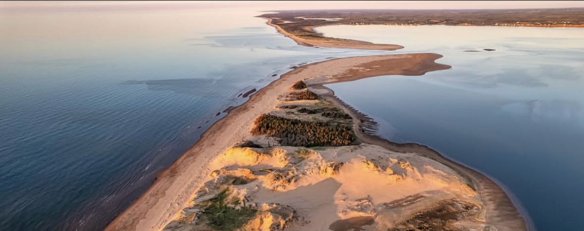 Stunning aerial view of Tracadie Bay at golden hour showing the curved sandy coastline, protective sand dunes, and calm shallow waters perfect for paddle boarding